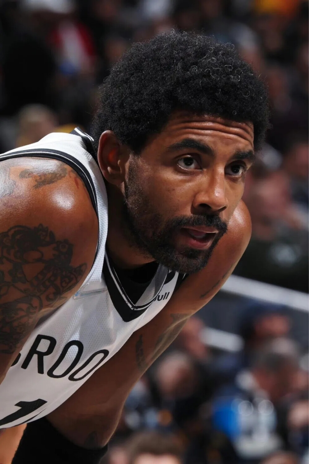 项特别活动 项特别活动