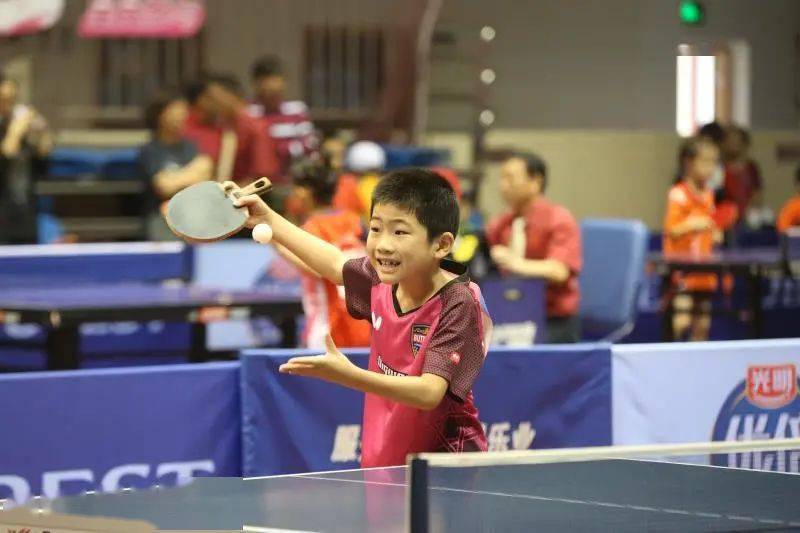 尼科的梦想 尼科的梦想